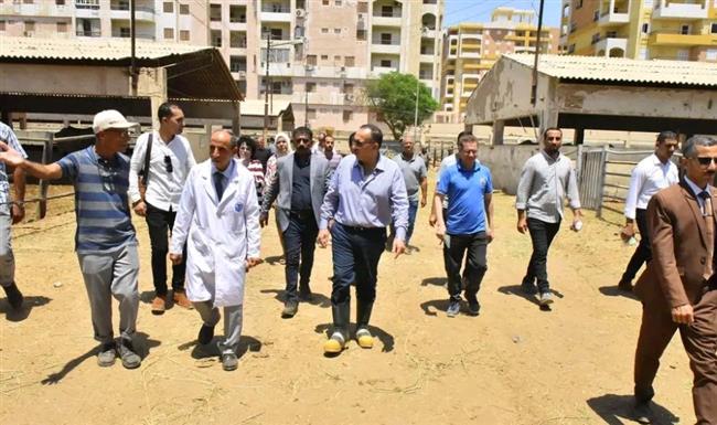 محافظ أسيوط يواصل جولاته على مشروعات الثروة الحيوانية