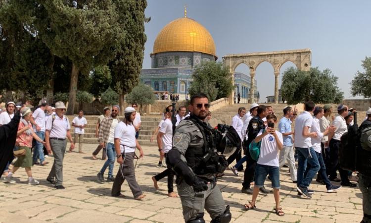 مستوطنون يقتحمون المسجد الأقصى .. والاحتلال يفرض قيودًا على المصلين