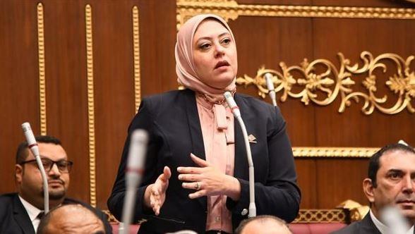 نائبة بالتنسيقية تثمن استجابة الحكومة لمقترحها بشأن توطين صناعة الرقائق الإلكترونية