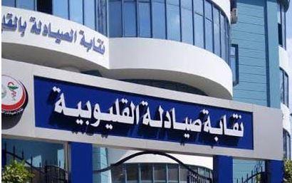 الخميس.. "صيادلة القليوبية " تنظم حفلا لتكريم أبناء أعضائها المتفوقين 