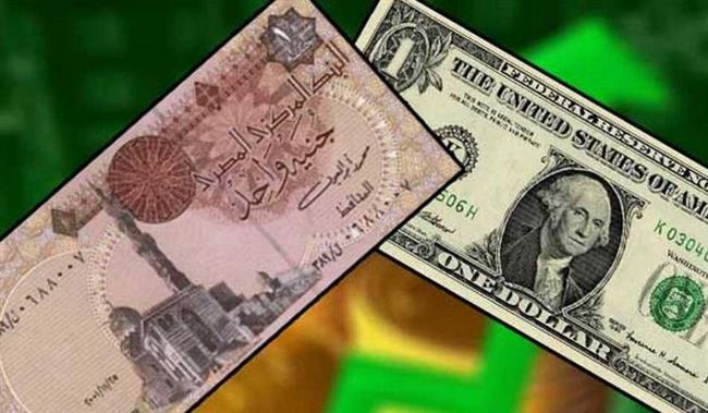 استقرار سعر الدولار أمام الجنيه بالبنوك 