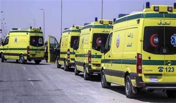 تصادم مروع بين 12 سيارة أعلى الطريق الدائري بالجيزة