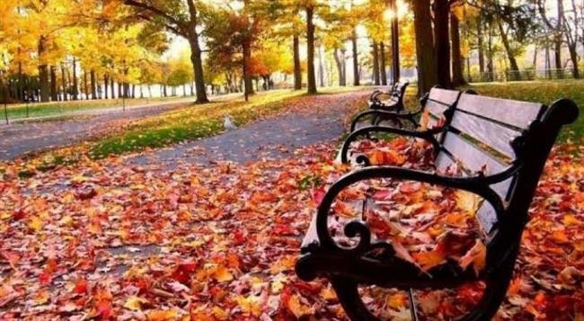 معهد الفلك: 22 سبتمبر بدء فصل الخريف في نصف الكرة الأرضية شمالاً