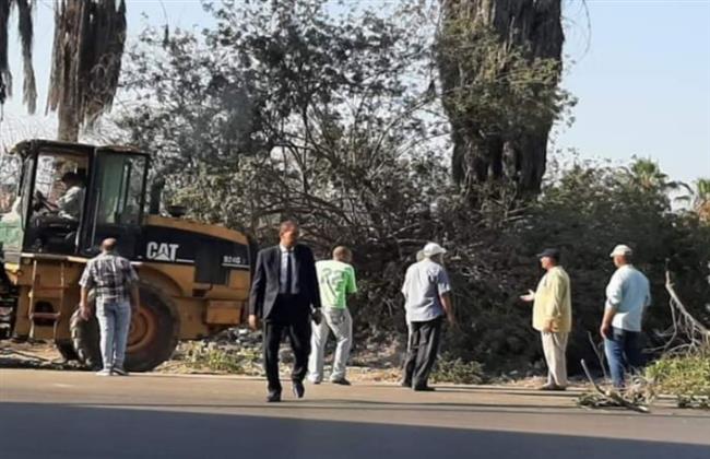 ضمن خطة تطوير المدينة.. رئيس دمنهور يتفقد أعمال النظافة وتهذيب الأشجار