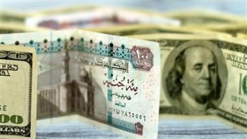 مصطفى بدرة: قيمة الدولار أمام الجنيه غير حقيقية