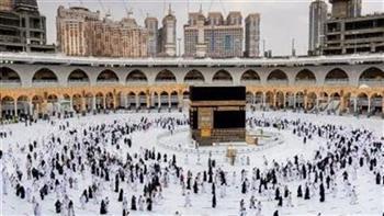 تفاصيل وقف شركات سياحية بسبب أزمة موسم الحج