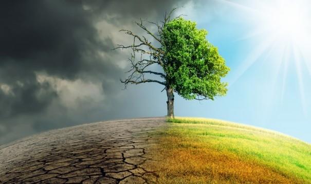 أستاذ مناخ: الدولة تبذل جهودا كبيرة لمواجهة التغيرات المناخية