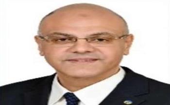 بأمر المحافظ.. منع إصدار تراخيص الأكشاك في القليوبية 