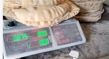 "تموين الإسكندرية" تحرر أكثر من 200 محضر مخالفات في يوم واحد
