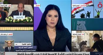متحدث الخارجية: تنسيق بين مصر وقطر للوصول لوقف إطلاق النار في غزة