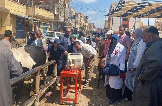 "بحوث الصحة الحيوانية" ينظم قوافل لعلاج الماشية بالمجان في عدة محافظات