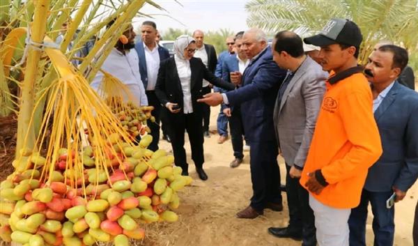 محافظ الوادي الجديد ومدير "الدولي للتمور" يتفقّدان مشروع الحرير الطبيعي