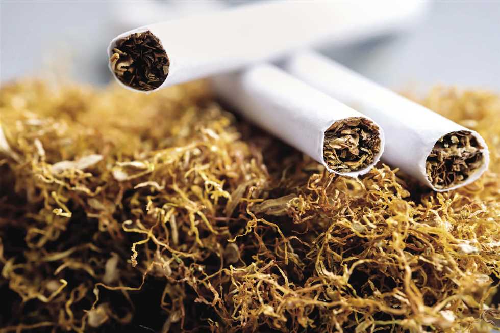 عائدات تصدير التبغ في مالاوي تقفز 40% خلال 2024