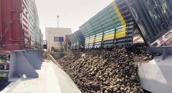 "الصناعات التكاملية": نستهدف استلام 750 ألف طن بنجر لصالح مصنع أبو قرقاص