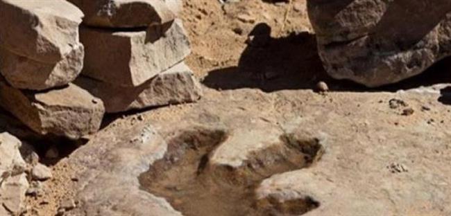 اكتشاف آثار أقدام ديناصورات صغيرة في شمال غربي الصين