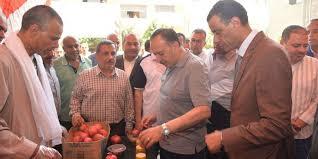 محافظ أسيوط يشهد الاحتفال بعيد الفلاح 