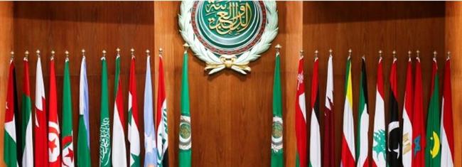 لجنة الاتصال العربية الوزارية للحوار تعقد اجتماعا مع الحكومة السورية 