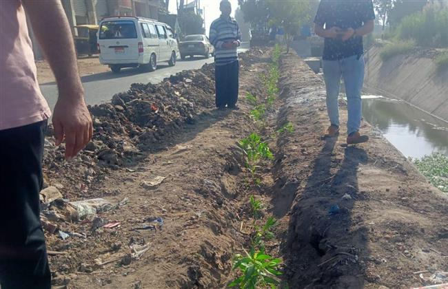 محافظ كفر الشيخ يتابع أعمال التشجير بسيدي سالم 