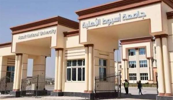 جامعة أسيوط تنظم البرنامج التدريبي "مهارات التحليل الإحصائي للباحثين"