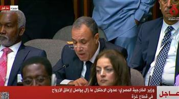 وزير الخارجية: الجيش الإسرائيلي يستخدم سلاح التجويع والترويع في غزة
