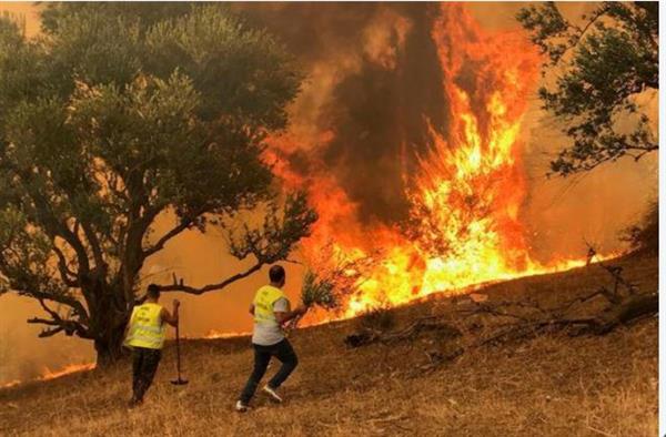 إعلان حالة الطوارئ في عاصمة الإكوادور بسبب حرائق الغابات