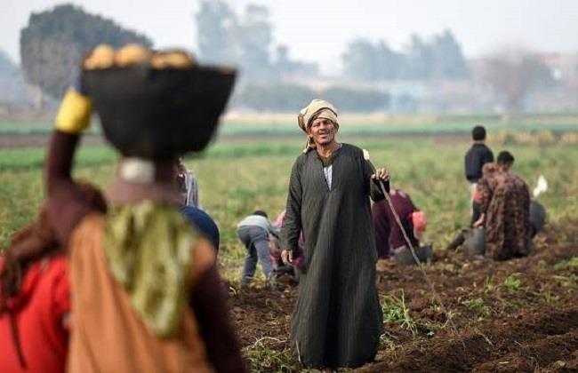 مصر تحتفل اليوم بالذكرى 72 لعيد الفلاح