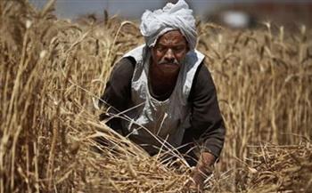   بالإنفوجراف.. الدولة المصرية تواصل تطبيق استراتيجيتها لدعم وتمكين الفلاح