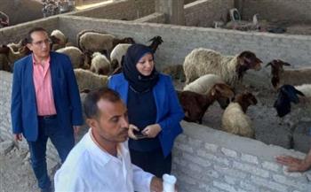   بيطري المنيا: تقديم 3138 خدمة خلال 6 قوافل بيطرية مجانية