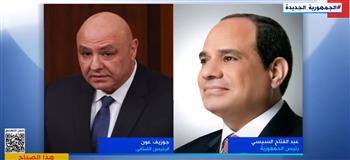   أستاذ علوم سياسية: مصر تحرص على استقرار الدول العربية وتهدئة الصراعات