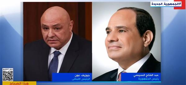 أستاذ علوم سياسية: مصر تحرص على استقرار الدول العربية وتهدئة الصراعات