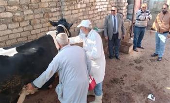   محافظ الدقهلية : تحصين وعلاج أكثر من 12 ألف رأس ماشية وطائر