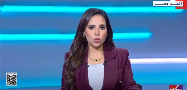 محمد البهواشي: الاقتصاد المصري يشهد ثورة إصلاحية في كافة القطاعات