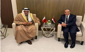   وزير الخارجية يبحث مع نظيره البحريني القضية الفلسطينية والأوضاع في سوريا واليمن