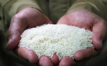   حازم المنوفي: 2000 جنيه زيادة في أسعار طن الأرز