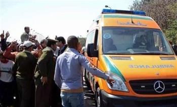   إصابة 8 أشخاص فى حادث تصادم ميكروباص مع تروسيكل بالمنصورة