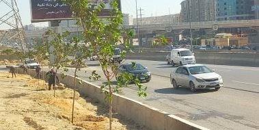 محافظ القاهرة: هيئة النظافة تبدأ تنفيذ المرحلة الأولى لتشجير الطريق الدائري
