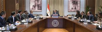   رئيس الوزراء يلتقى نائب رئيس "مجموعة جيلى أوتو القابضة"