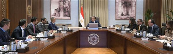 رئيس الوزراء يلتقى نائب رئيس "مجموعة جيلى أوتو القابضة"