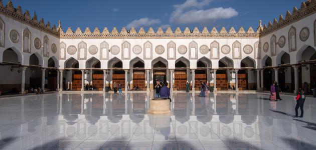الأزهر يعرب عن تقديره للجهود المصرية القطرية لوقف العدوان على غزة