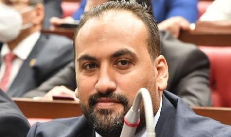 الرشيدي: اتفاق وقف إطلاق النار في غزة تكليل للجهود المصرية في الدفاع عن القضية الفلسطينية