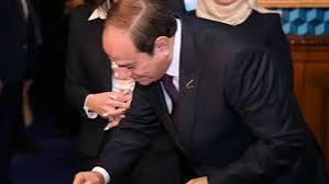 متحدث «النواب» السابق: مصر تعمل في صمت للدفاع عن القضايا العربية