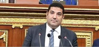   متحدث «النواب» السابق: اتفاق غزة يعكس صلابة مصر ودورها الريادي في المنطقة
