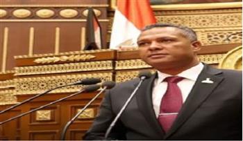   عضو "الشيوخ": الموقف المصري تجاه القضية الفلسطينية ينبع من عقيدة سياسية راسخة  