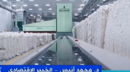 خبير اقتصادي: الدولة تسعى لزيادة الواردات بقطاع الغزل والنسيج