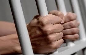 تجديد حبس سائق ميكروباص لاتهامه بدهس سيدة في مدينة نصر