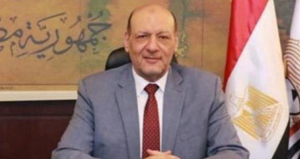 حزب "المصريين": زيارة رئيس الصومال تعكس الدور المحوري لمصر في القارة الأفريقية