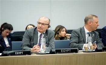   تكليف سفارتى تركيا وإيطاليا بالقاهرة لتسهيل التعاون بين مصر وحلف الناتو.