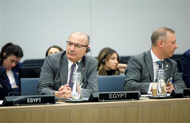 تكليف سفارتى تركيا وإيطاليا بالقاهرة لتسهيل التعاون بين مصر وحلف الناتو.