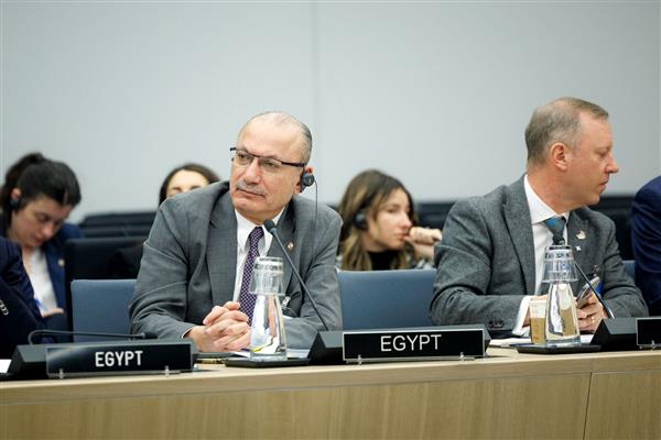 تكليف سفارتى تركيا وإيطاليا بالقاهرة لتسهيل التعاون بين مصر وحلف الناتو.