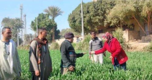 فرق تفتيش المركزية لمكافحة الآفات تواصل متابعة المحاصيل وتوعية المزارعين